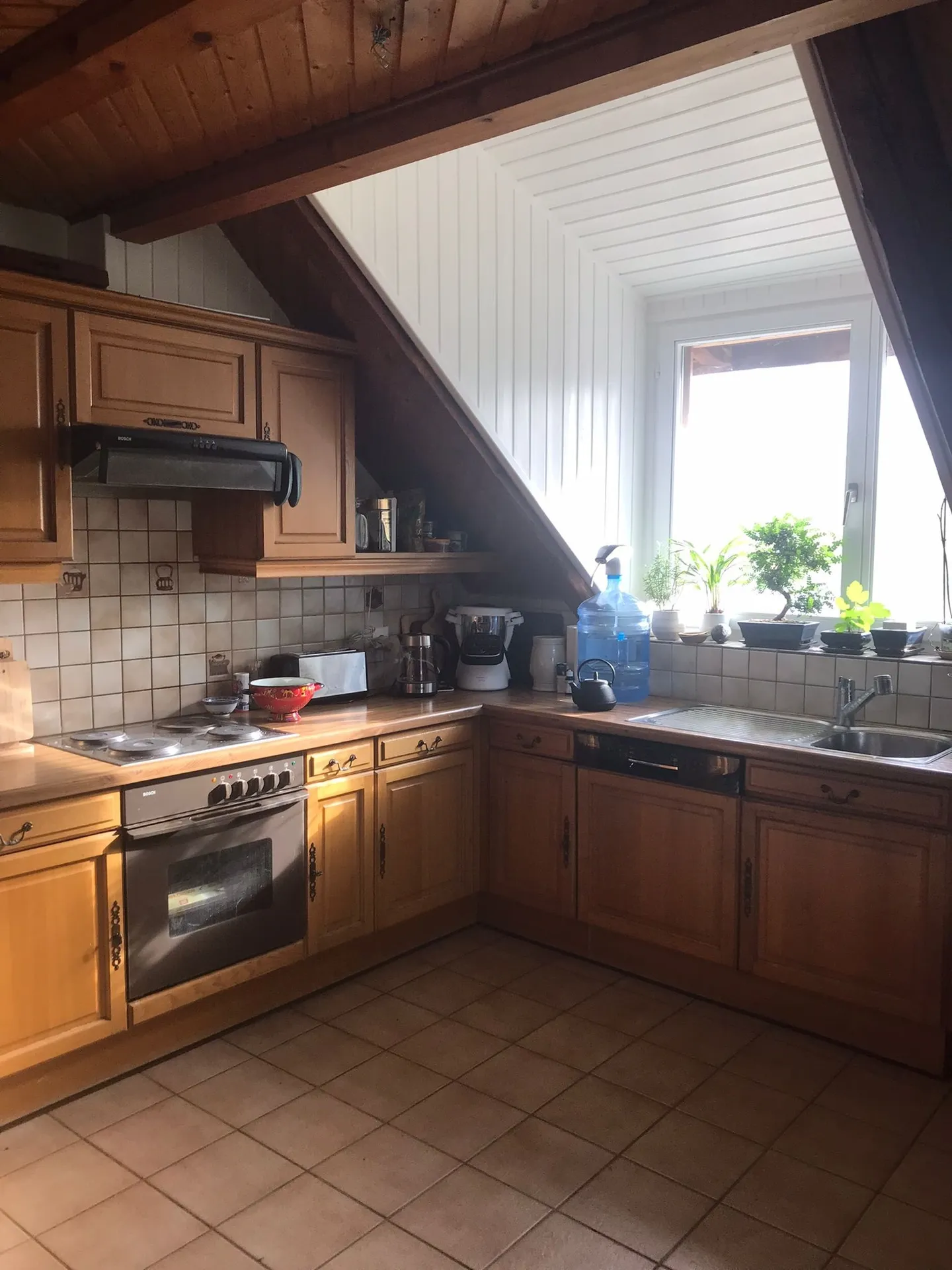 Appartamento in affitto - Foto 1 di 6