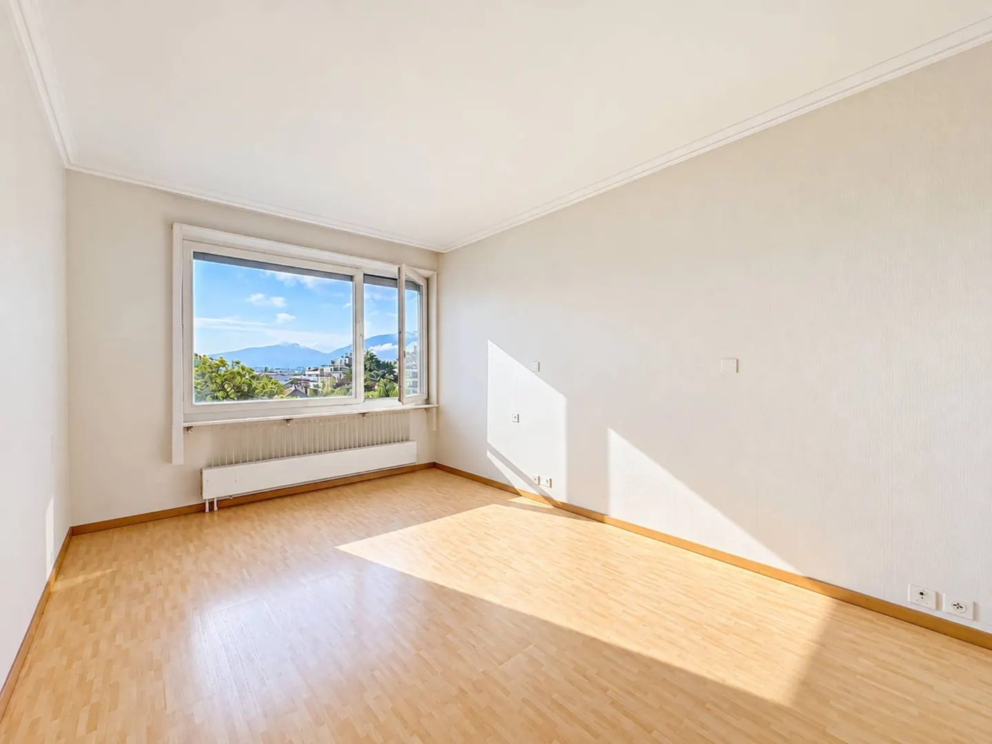 Spacious Apartment in Charmilles - Photo 4 of 6