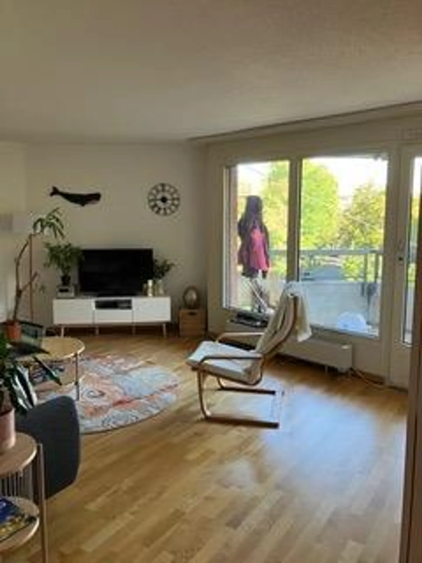 Appartamento 4.5 stanze - Foto 2 di 5