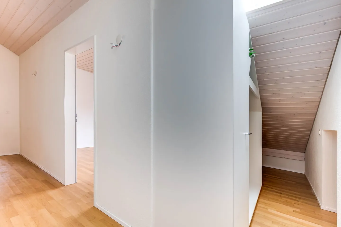 Hier haben Sie Platz! - Foto 2 von 13