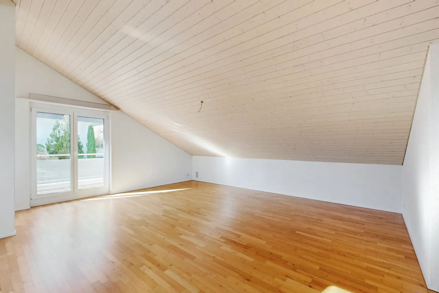 Hier haben Sie Platz! - Foto 6 von 13