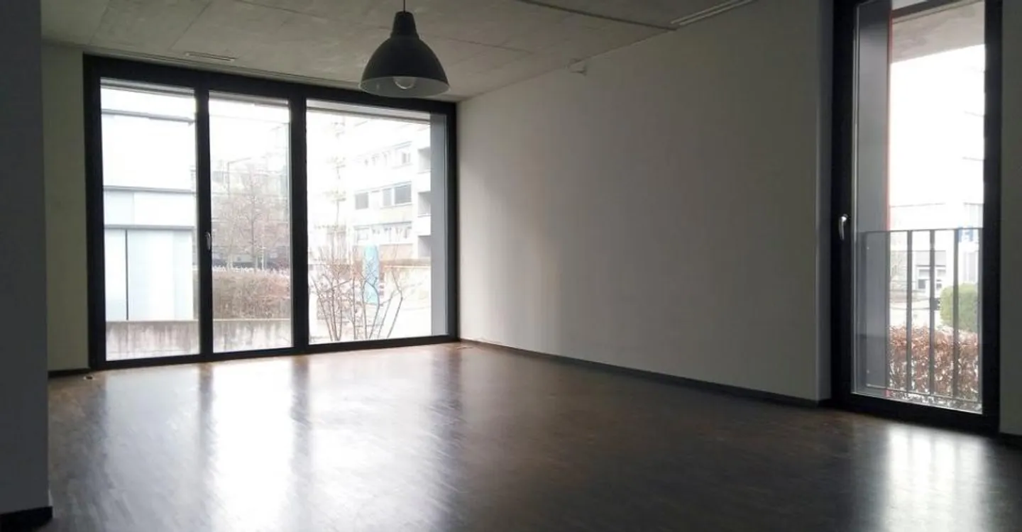Modern apartment in the heart of Winterthur - Photo 4 of 8