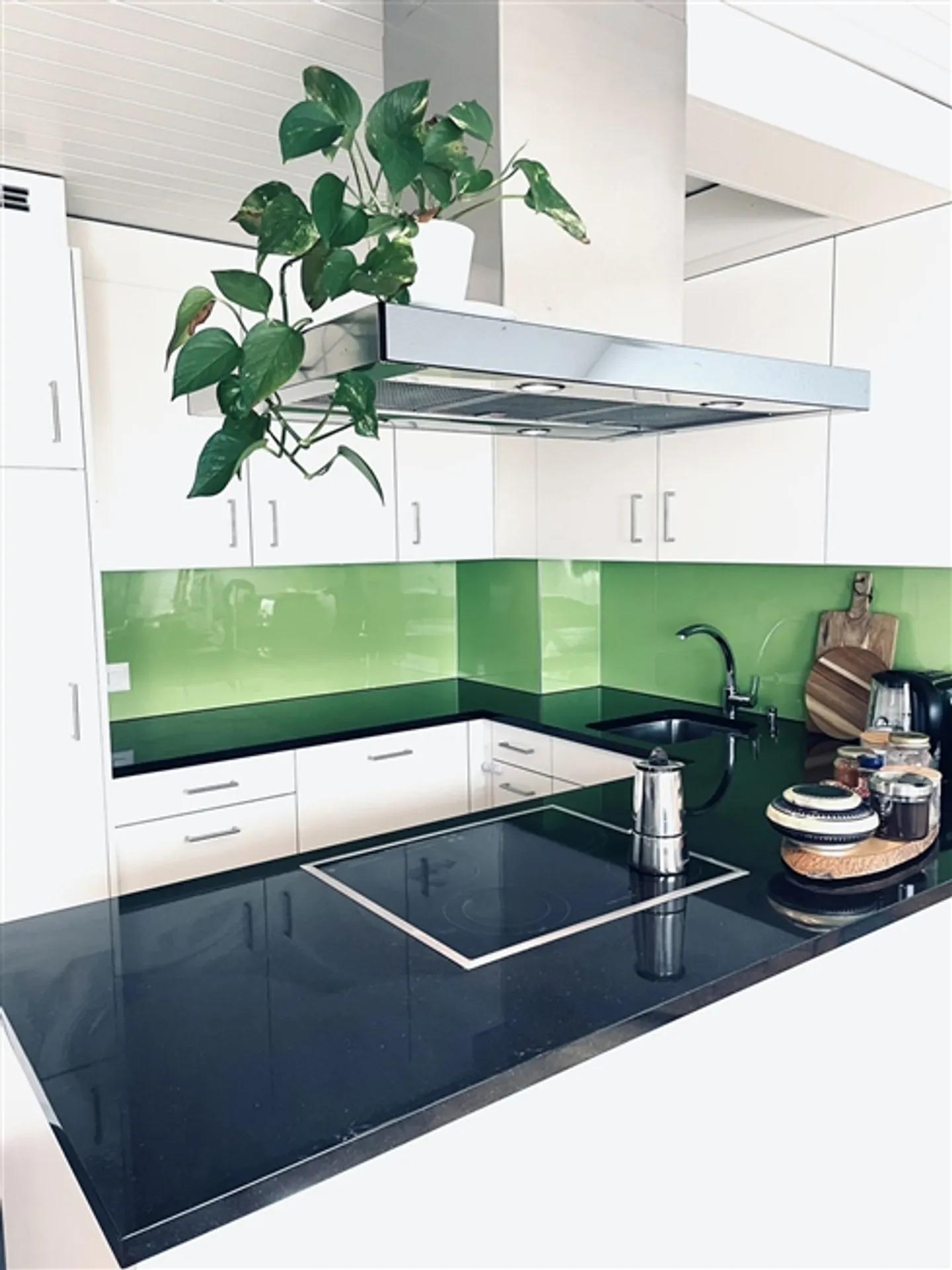 2½ ROOM APARTMENT IN BERN - ELFENAU/BRUNNADERN, FURNISHED, TEMPORARY - Photo 3 of 5