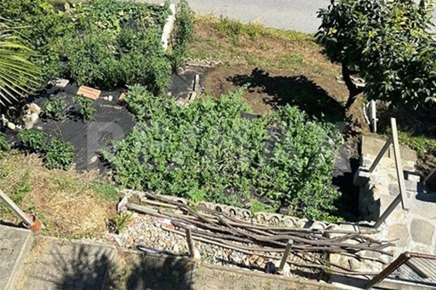 Building Plot for Family Home - Photo 8 of 10