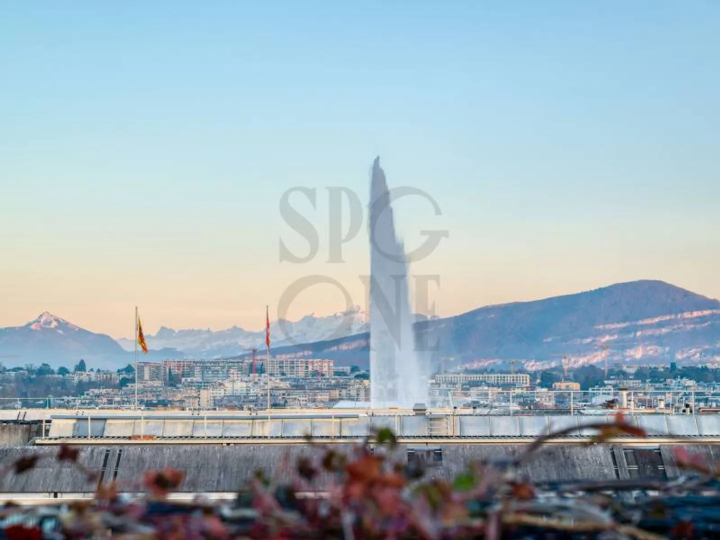 Luxury Apartment in Park Setting - Photo 1 of 12