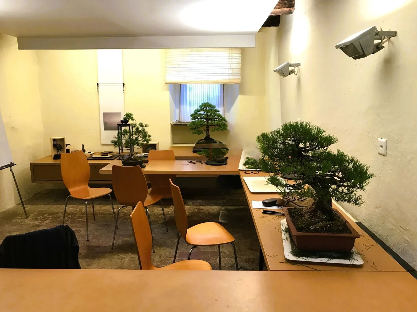 A unique project, just two steps from the lake - Photo 12 of 13