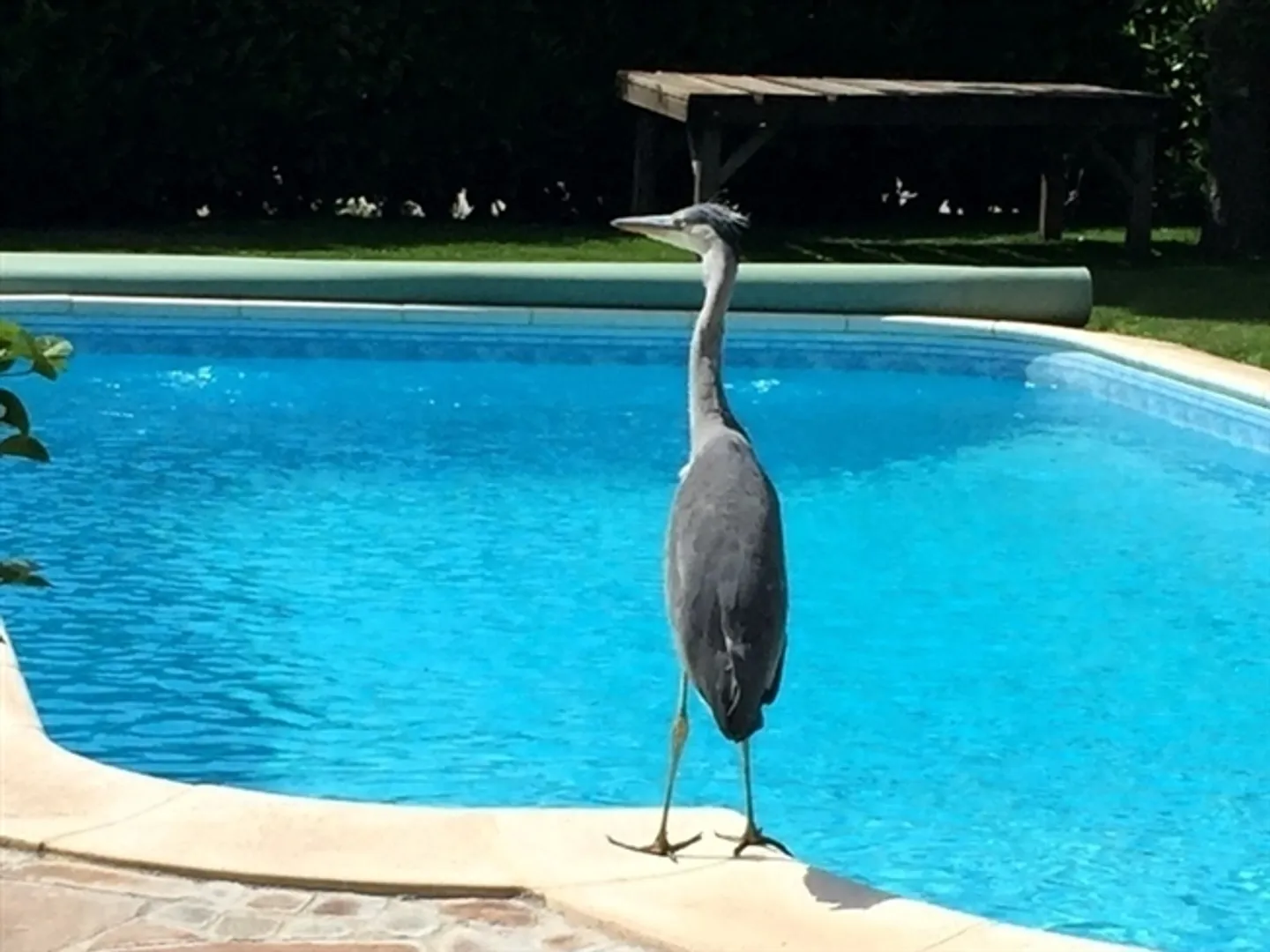 Appartement 1 pièce à Obergösgen (SO), meublé - Photo 6 sur 6