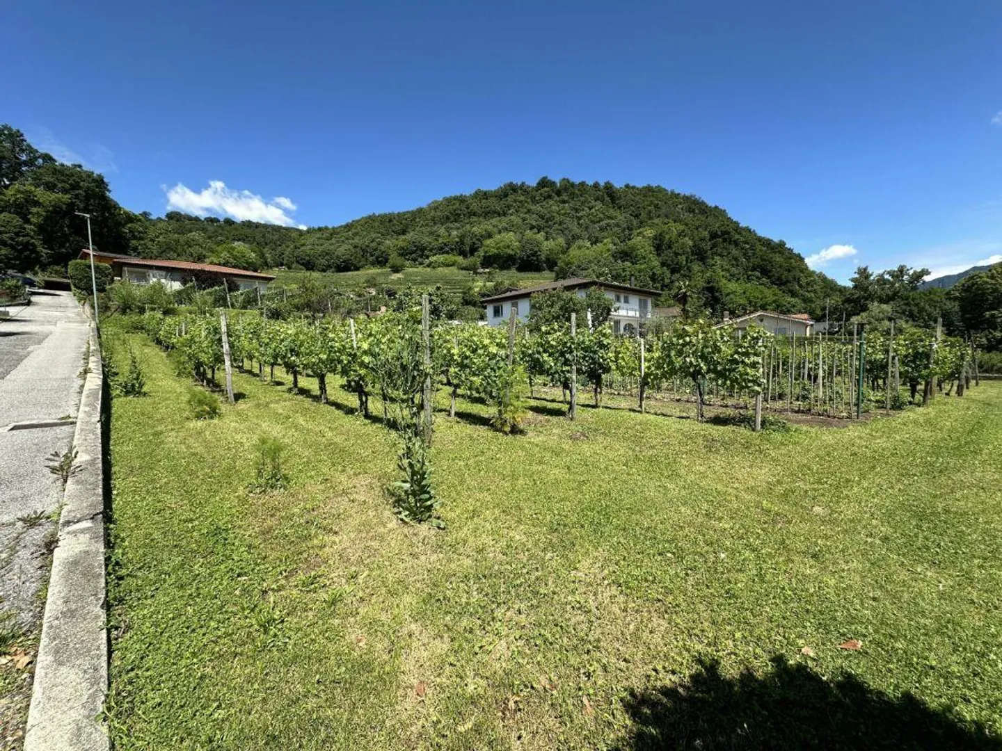 Vente d'un terrain de construction intéressant de 1902 m², dans un emplacement ensoleillé et central - Photo 1 sur 4