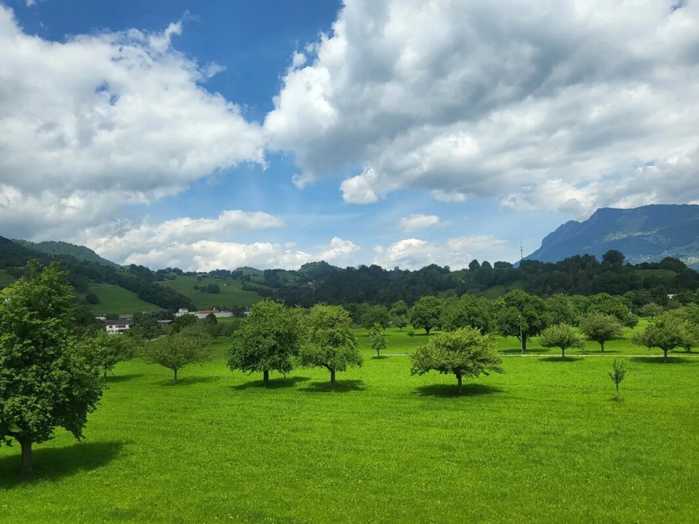 Two light-filled apartments with flexible layout - Photo 7 of 8