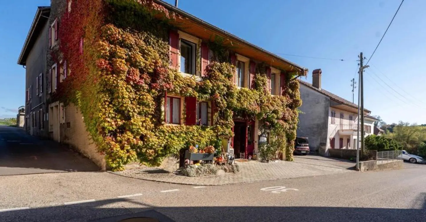 Characterful village house with 3 apartments, garden and terrace - Photo 8 of 10