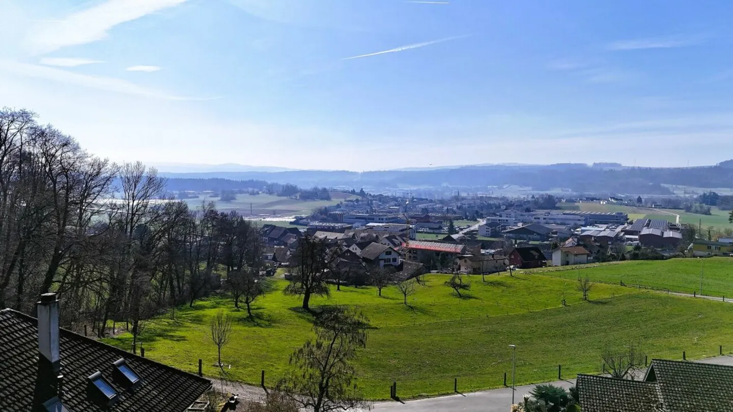 BELLA VISTA.CH - NUOVA COSTRUZIONE DI CLASSE EXTRA - APPARTAMENTO ATTICO - Foto 9 di 10