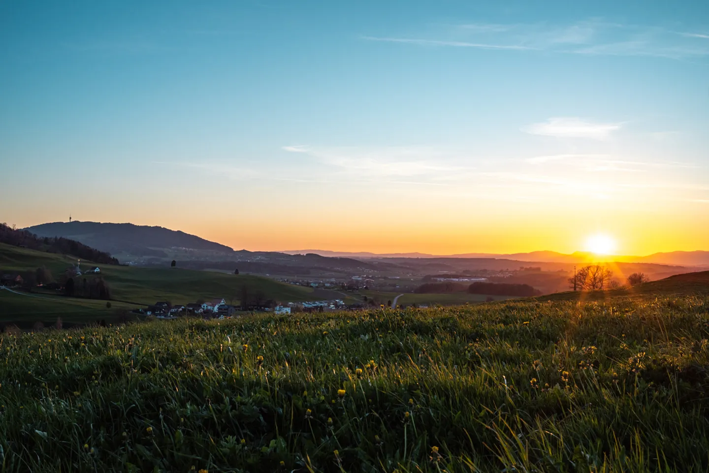 9 zeitgenössische Villen in Treyvaux - Neubauten - Foto 1 von 16