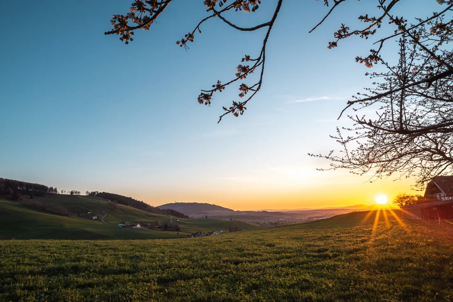 9 zeitgenössische Villen in Treyvaux - Neubauten - Foto 12 von 16
