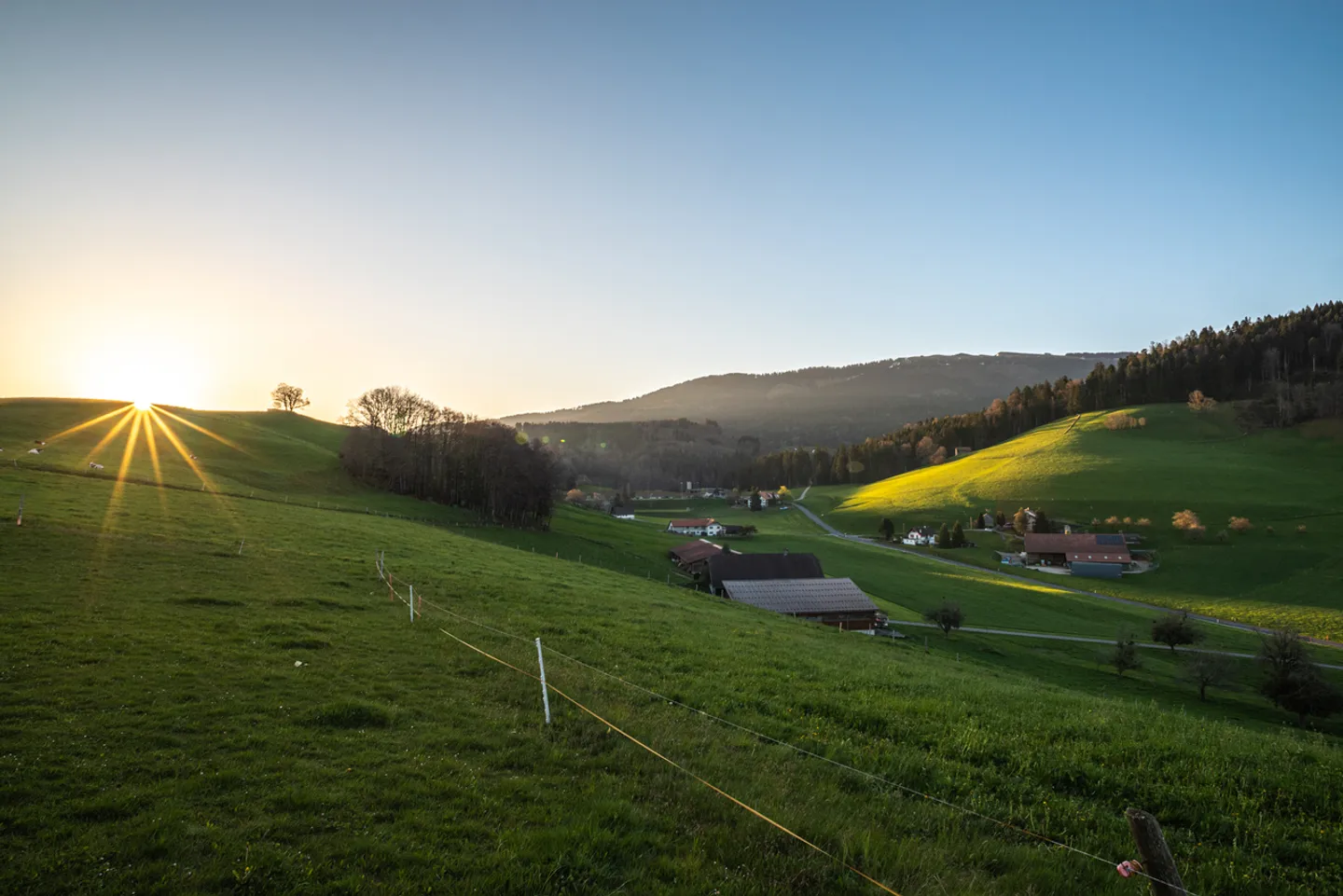 9 zeitgenössische Villen in Treyvaux - Neubauten - Foto 13 von 16