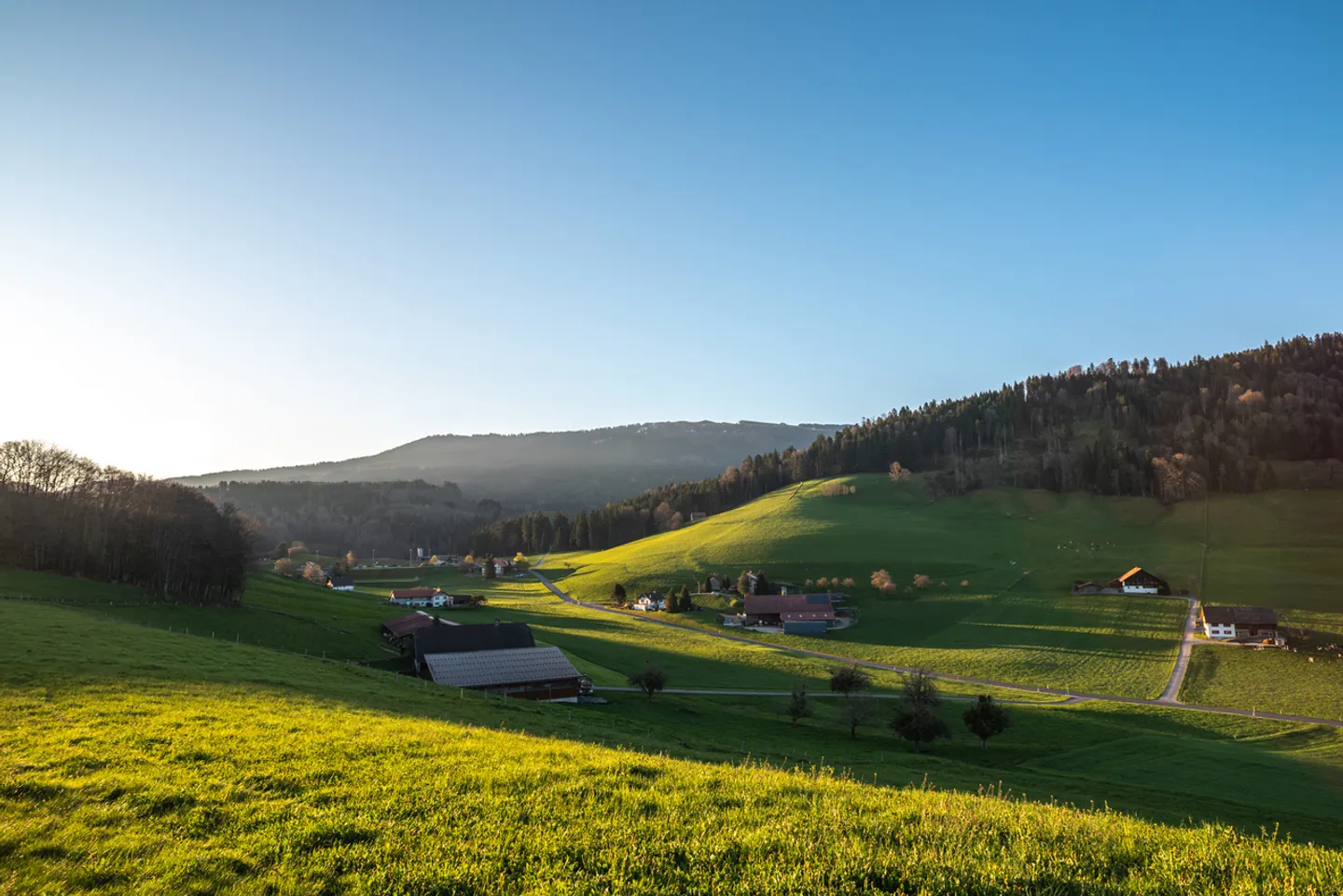 9 zeitgenössische Villen in Treyvaux - Neubauten - Foto 14 von 16