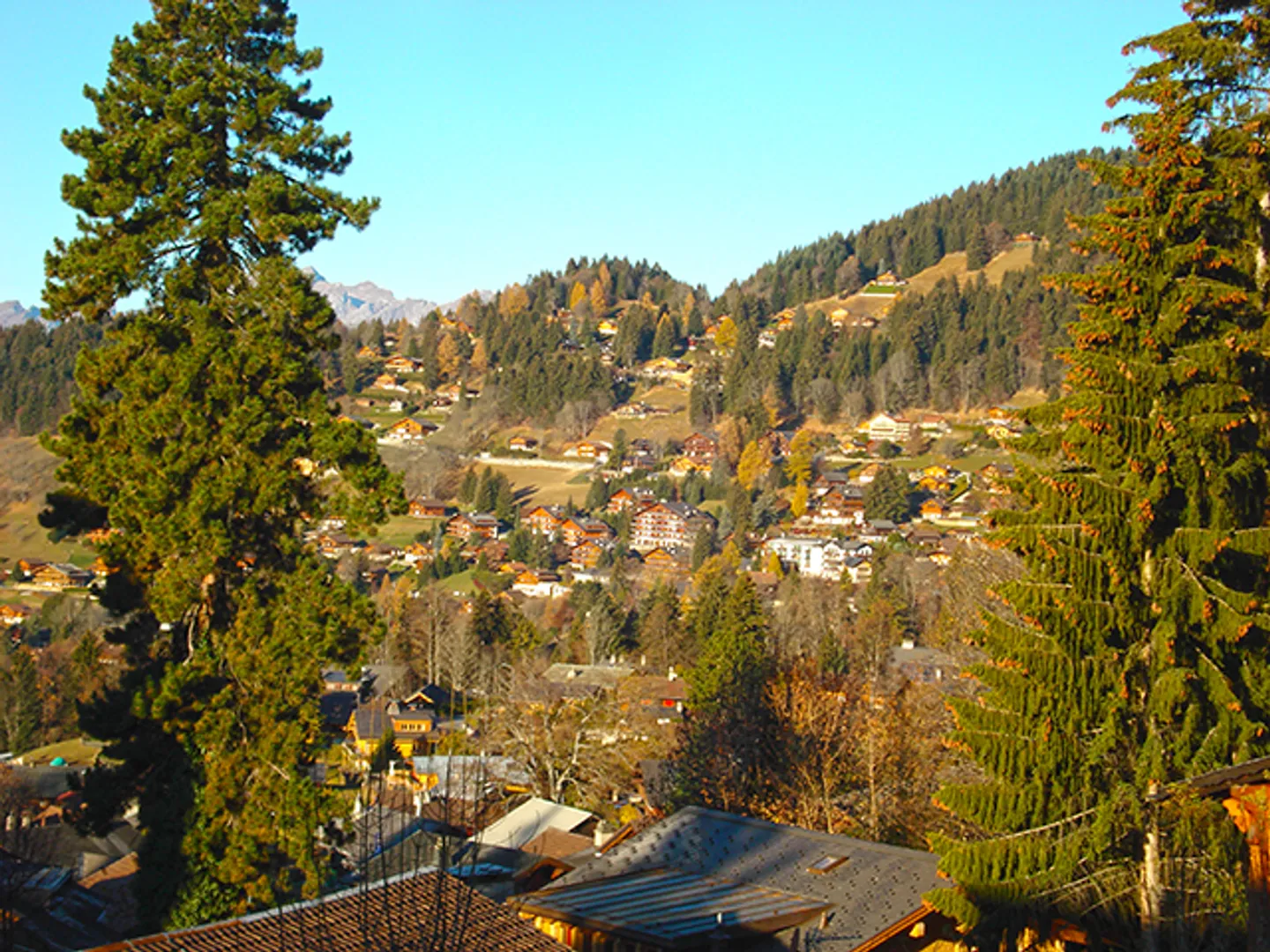 VILLARS-SUR-OLLON - CHALET CON GRANDE POTENZIALE - 5 STANZE - Foto 3 di 5