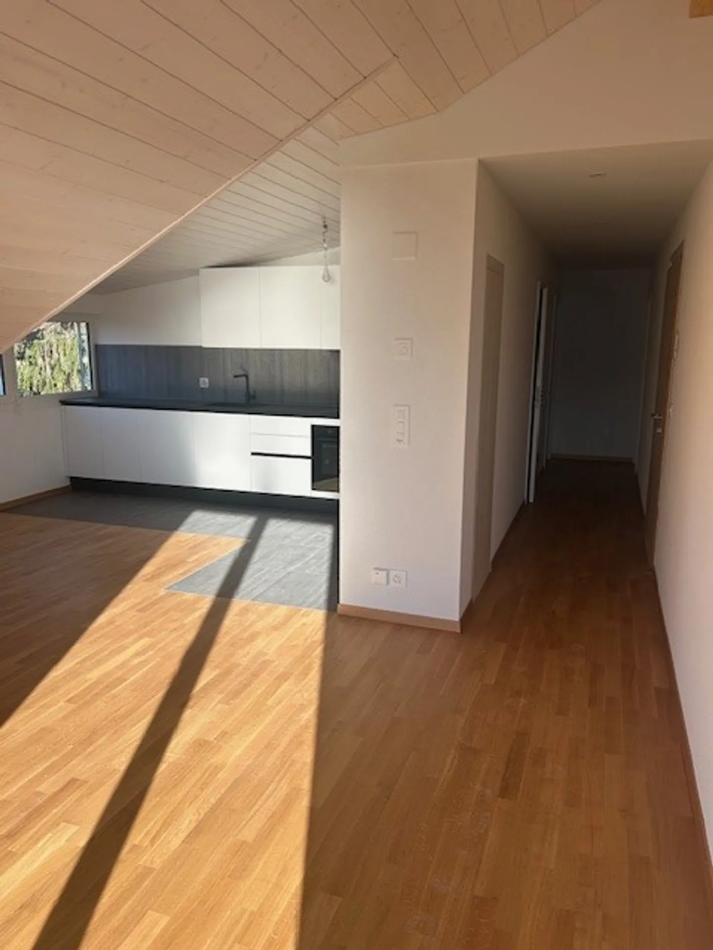 3.5 Room Apartment - Photo 4 of 11