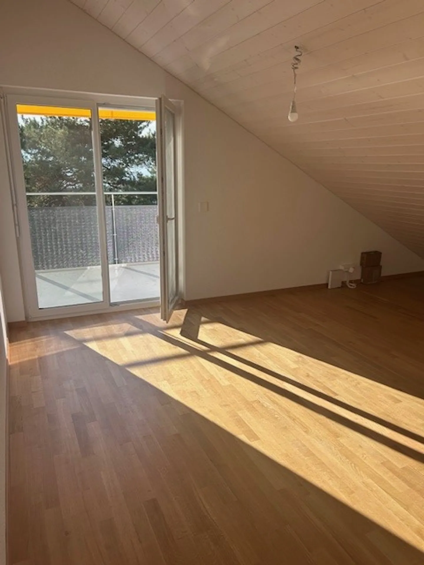 3.5 Room Apartment - Photo 5 of 11