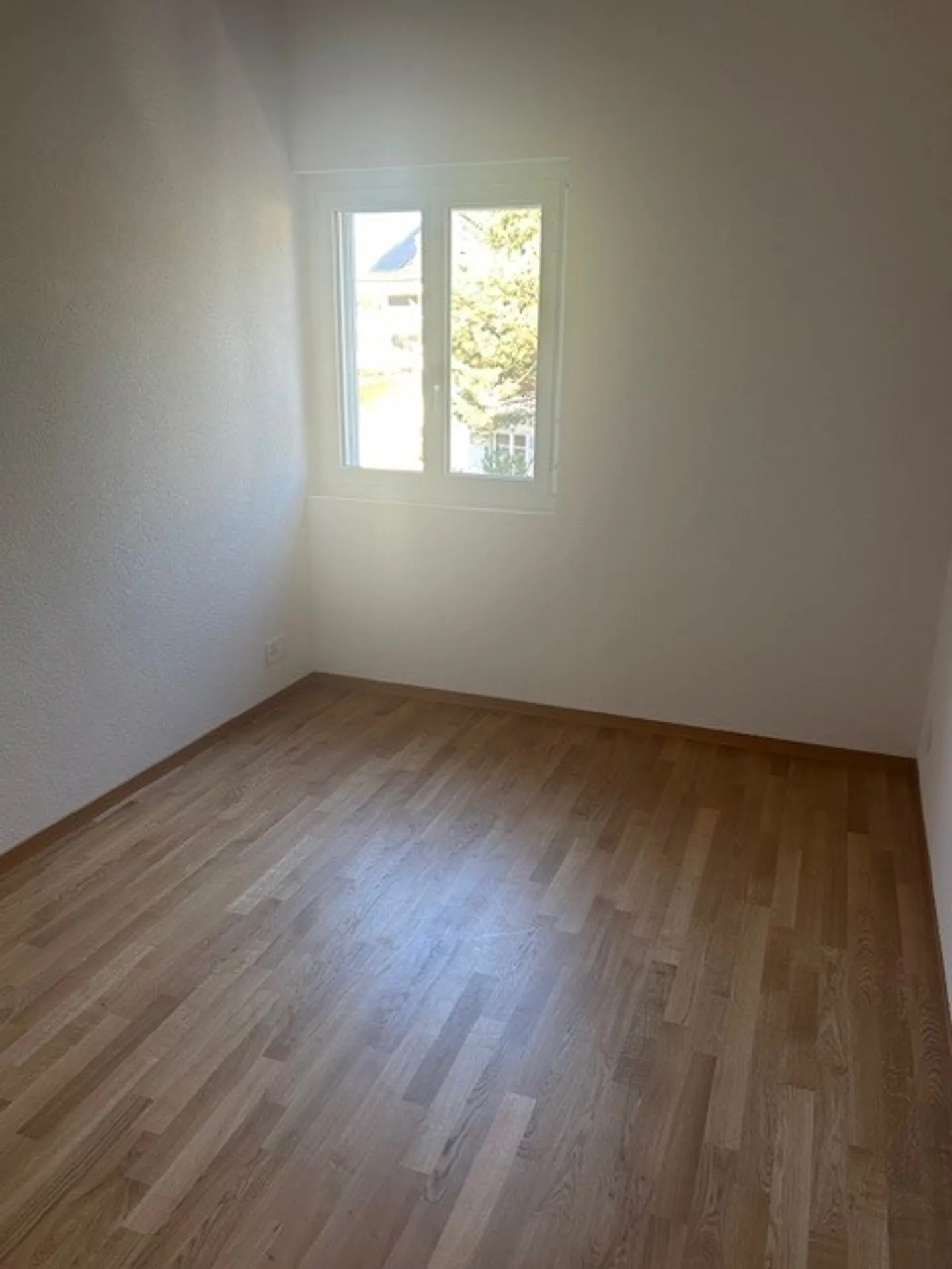 3.5 Room Apartment - Photo 9 of 11