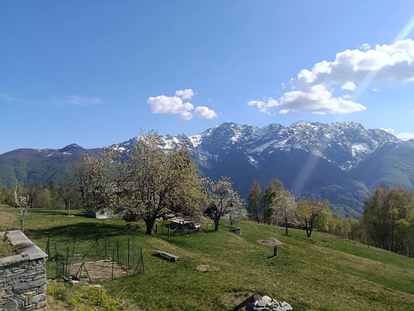 Charmantes Rustico in Centovalli - Foto 4 von 22