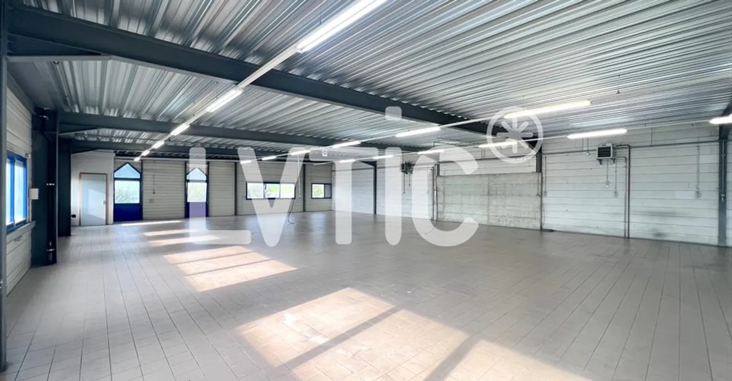 Edificio ad uso misto in affitto - Foto 6 di 12