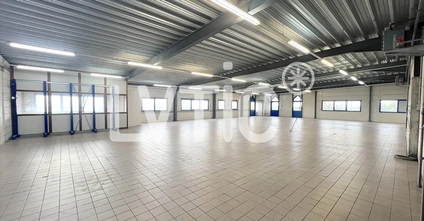 Edificio ad uso misto in affitto - Foto 12 di 12