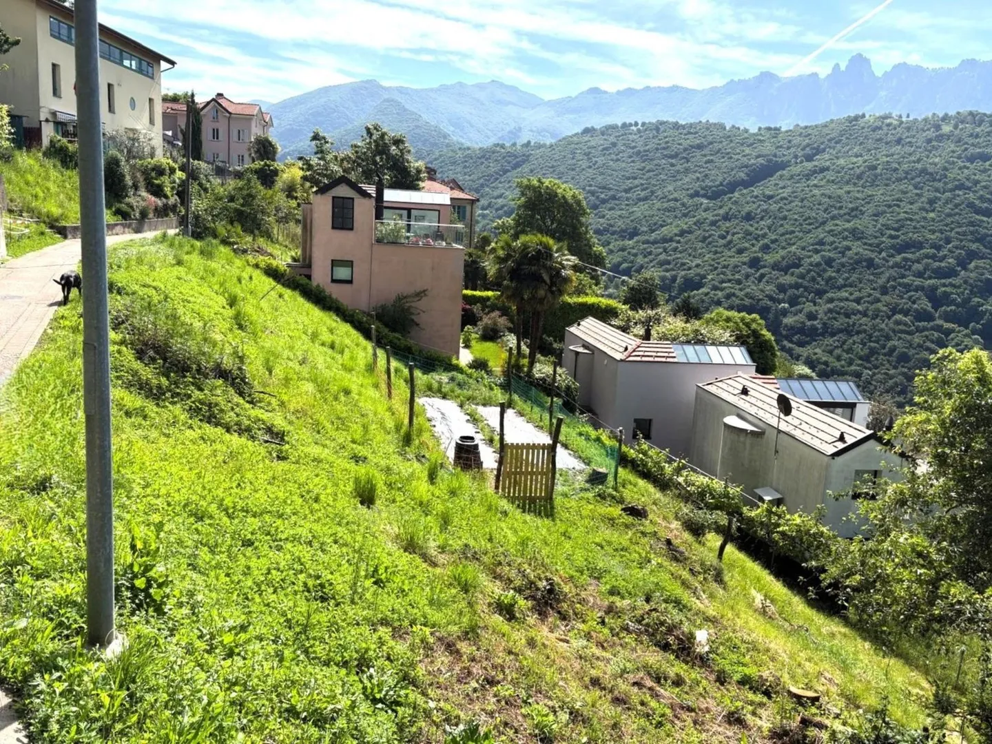 Build Your Dream Home in Nature - Photo 3 of 3