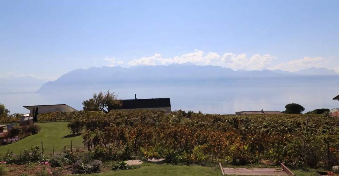 Wunderschöne Gelegenheit! Neuere Wohnung mit zwei Schlafzimmern, Terrasse und Garten, Panoramablick auf den See und die Alpen, ein Außenparkplatz. - Foto 1 von 4