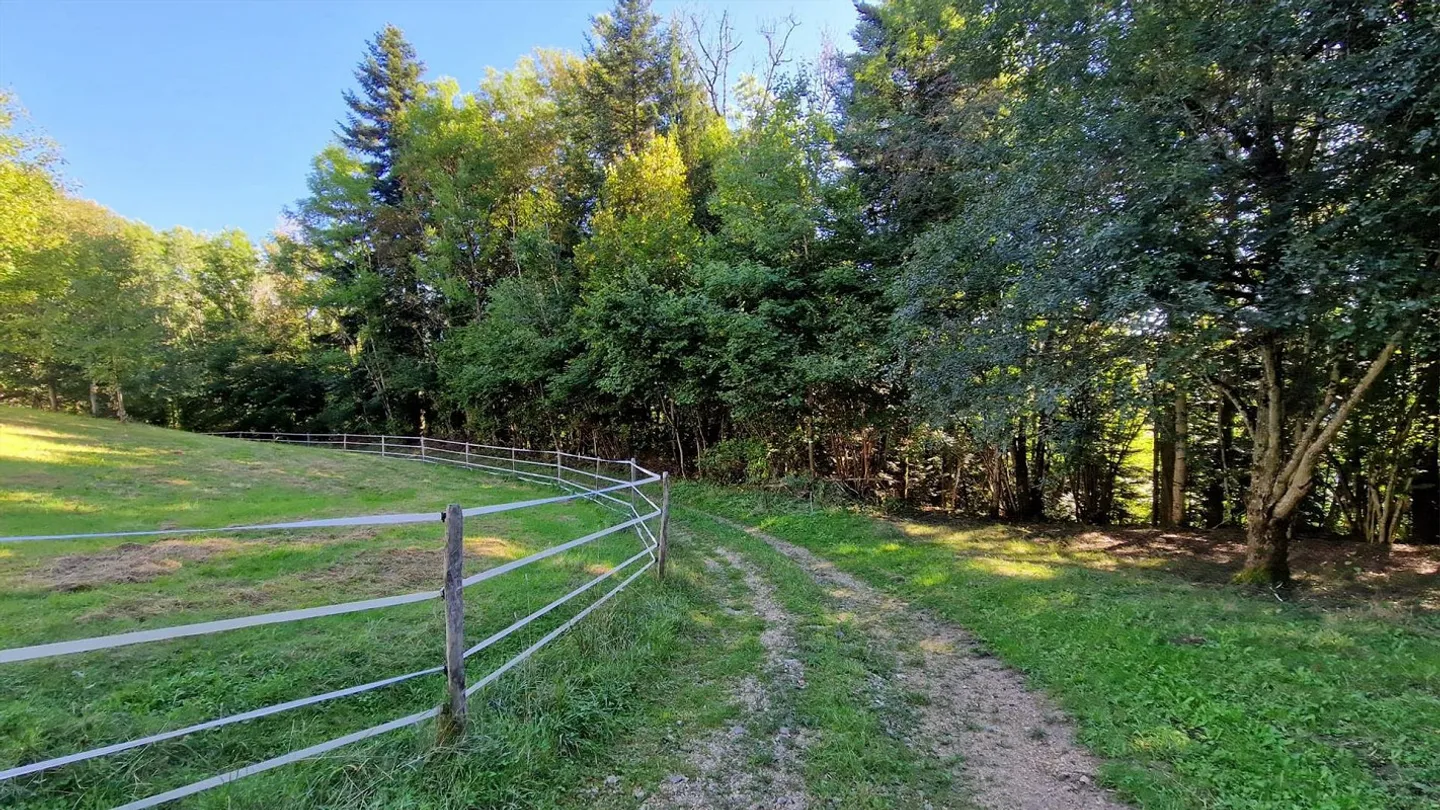 22-Room Investment Property in Glovelier – Unique Opportunity - Photo 6 of 13