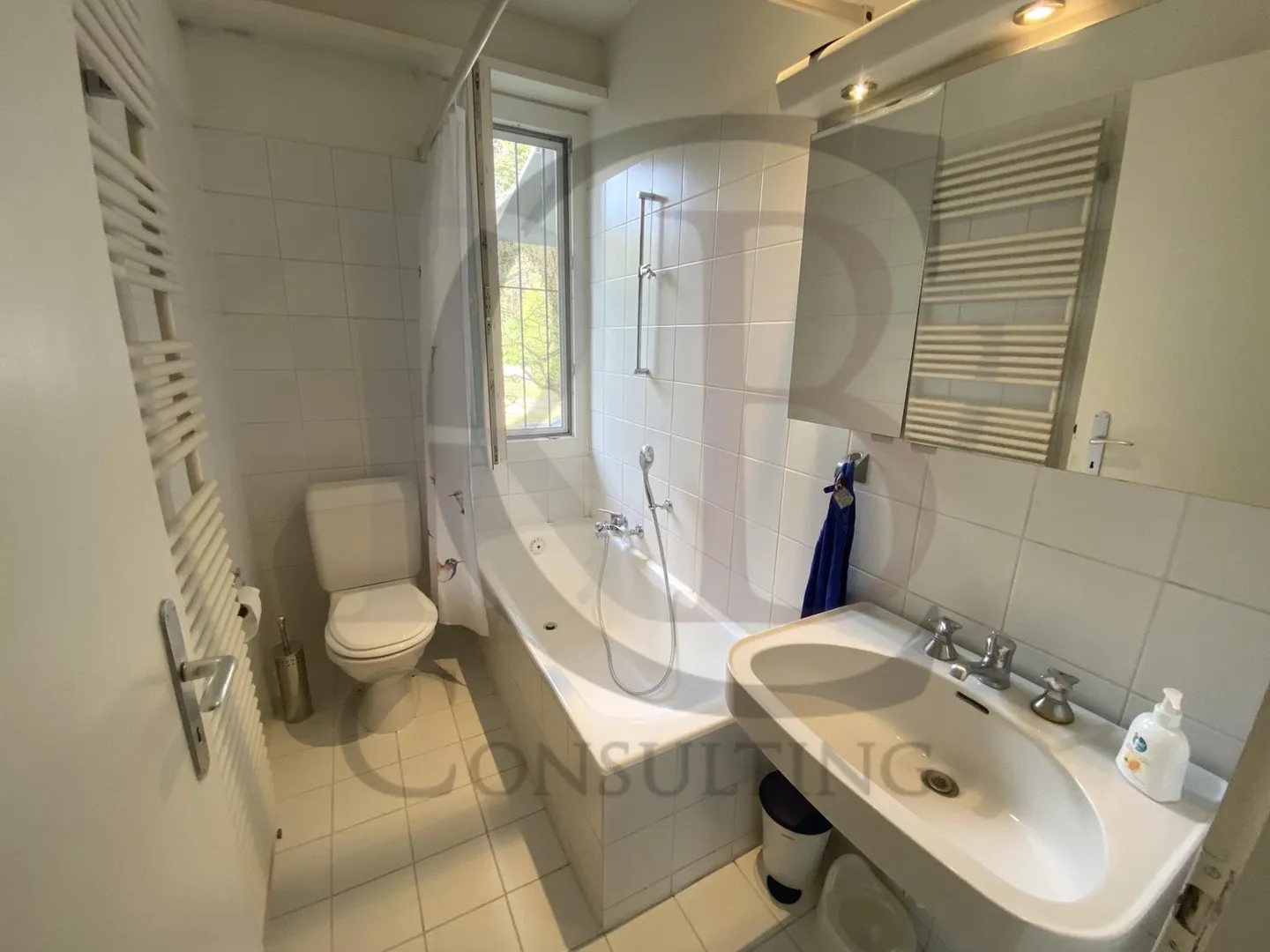 Villa on the lakeshore, with a spacious garden - Photo 8 of 9