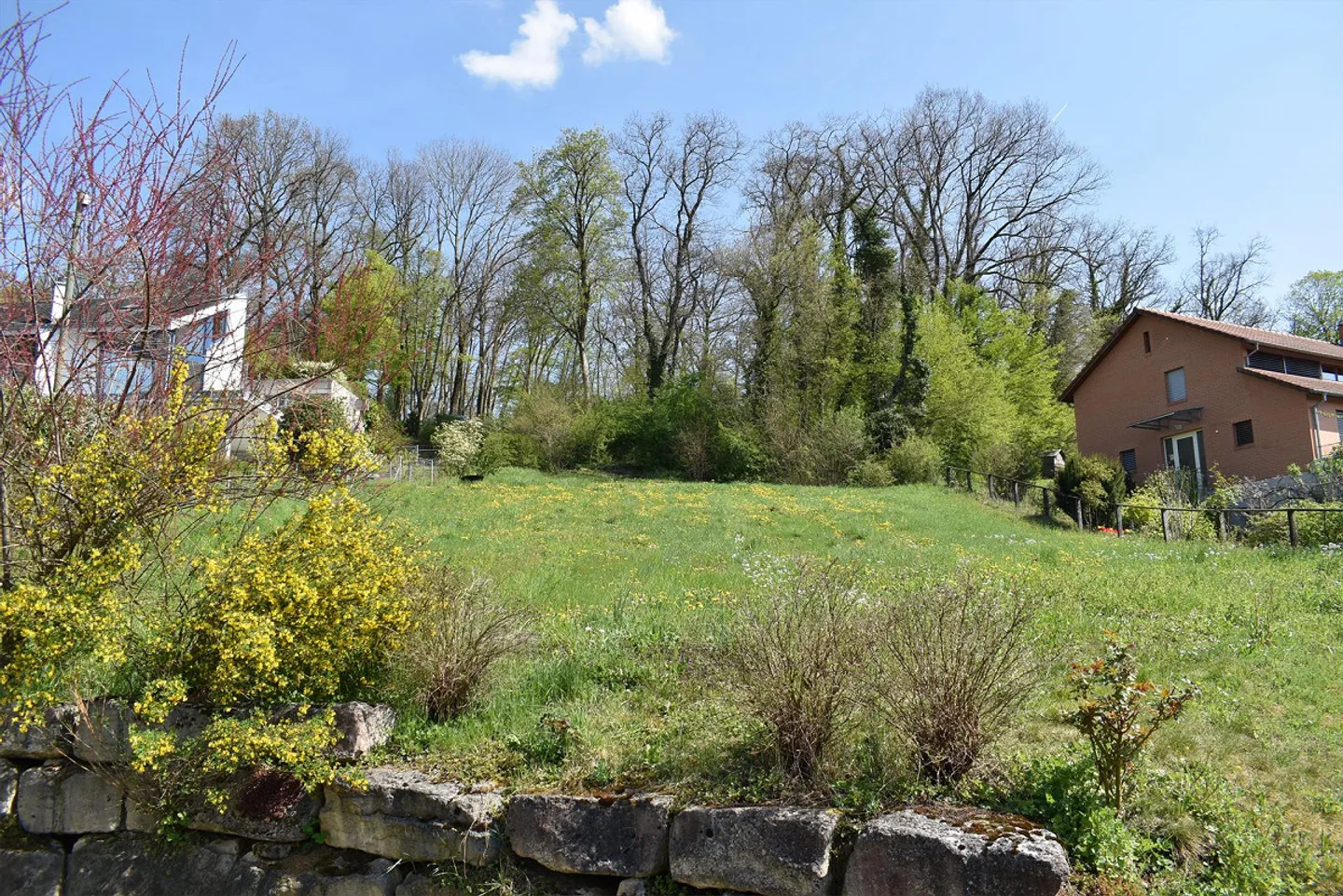 1186 sqm of building land for villa and an additional 865 sqm of woodland in Dornach - Photo 1 of 4