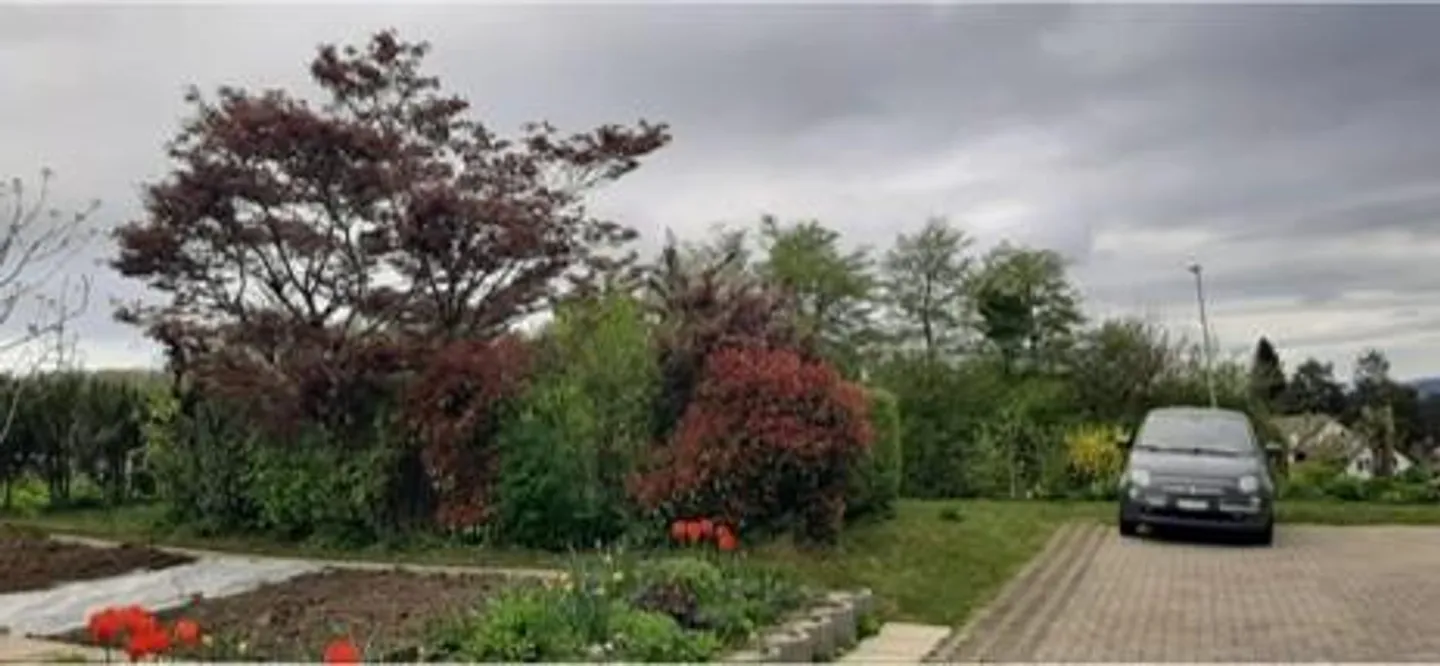 Casa 2 - 3 famiglie nella migliore zona residenziale - Foto 3 di 13