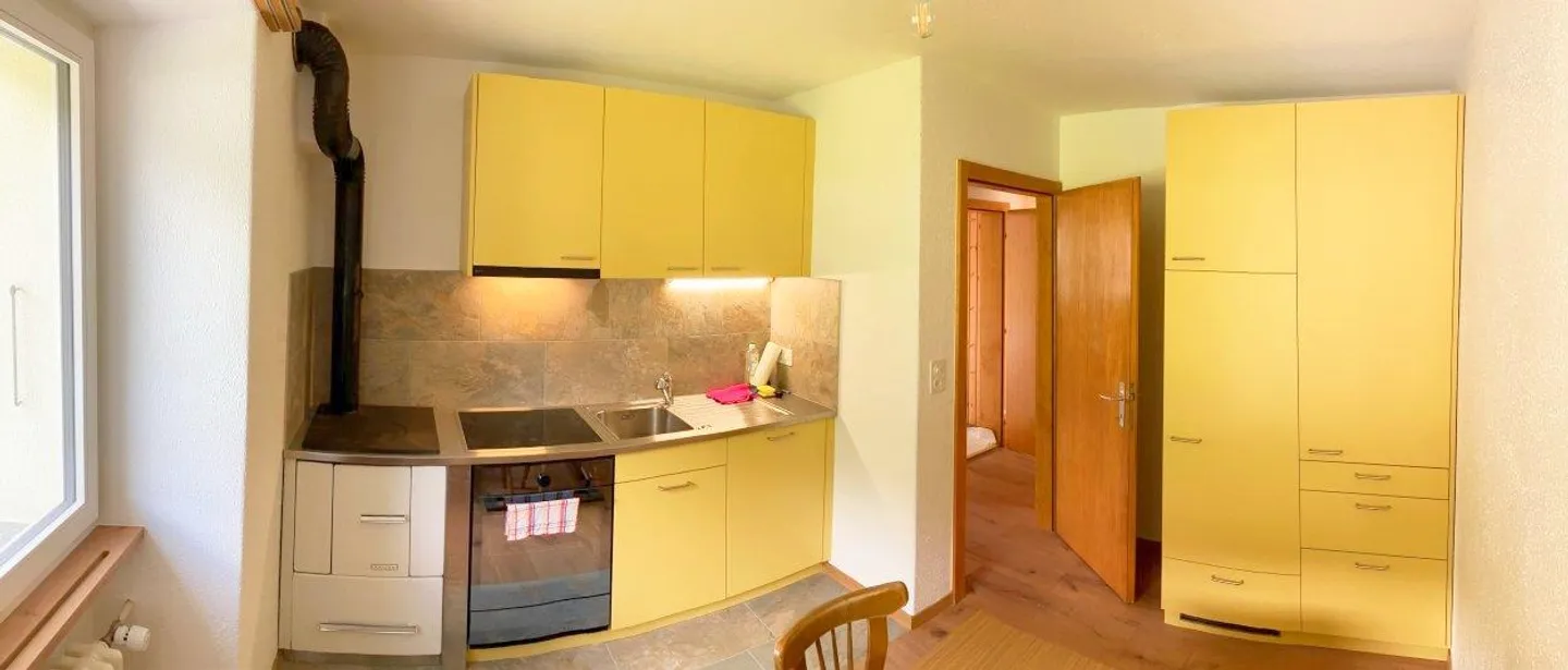 (Holiday) House with Apartment, Completely Renovated - Photo 9 of 17