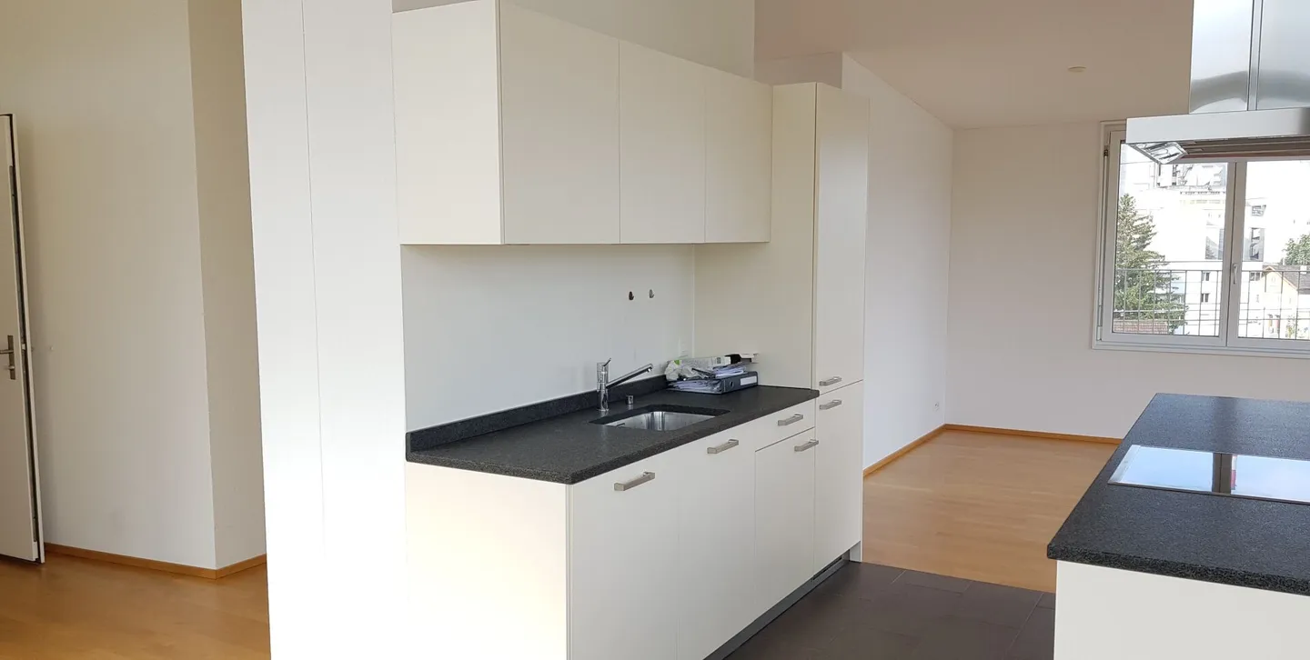 Moderno appartamento attico di 2,5 stanze con grande terrazza (82 m²) - Foto 2 di 10