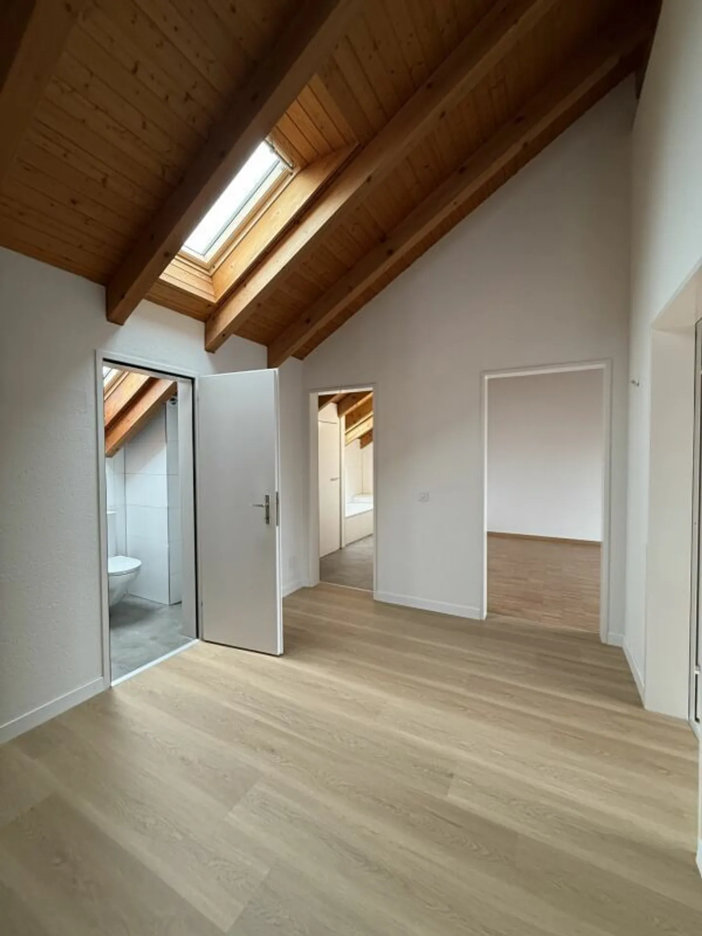 Spacious and bright penthouse apartment with two sunny balconies - First occupancy after loving overall renovation - Photo 6 of 15