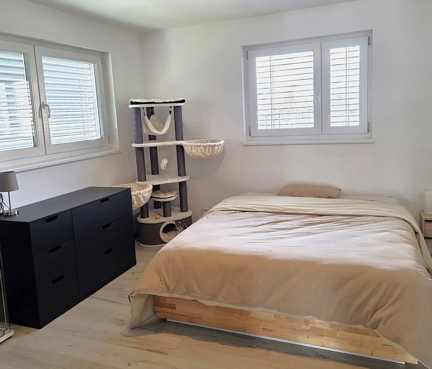 Modern Apartment with Mountain View - Photo 4 of 7