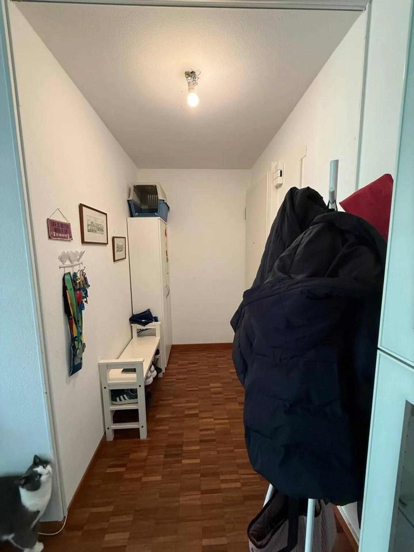 Superb renovated accommodation - Photo 4 of 7