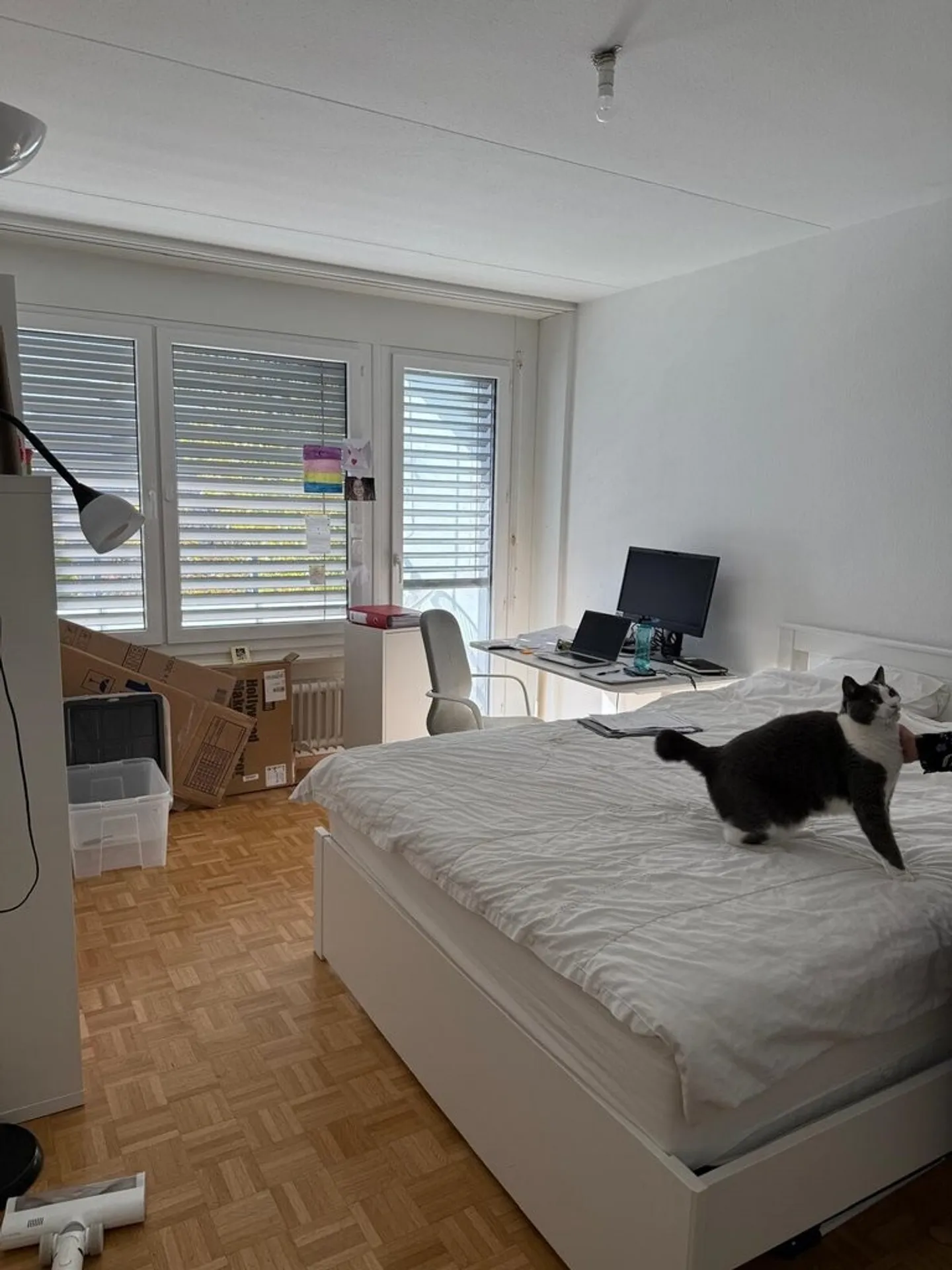 Superb renovated accommodation - Photo 6 of 7