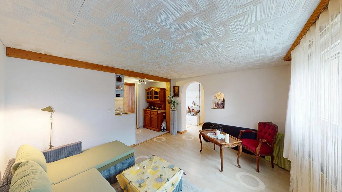 AgentSelly - Living Oasis with Charm and Large Garden - Photo 8 of 13