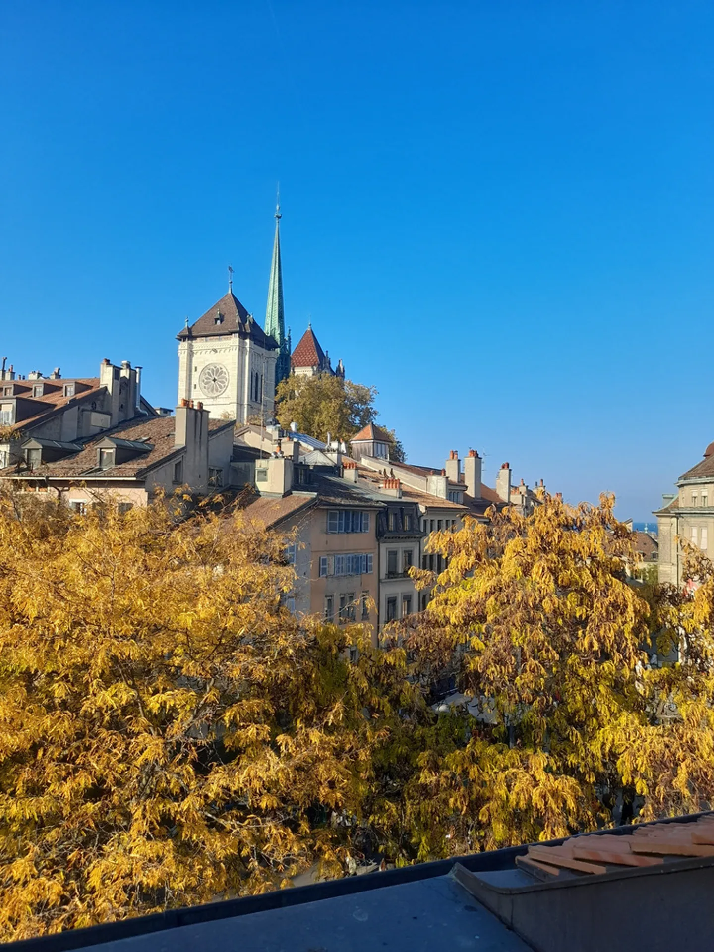 In affitto: splendido appartamento arredato con 2 stanze nel cuore di Ginevra - Foto 1 di 5