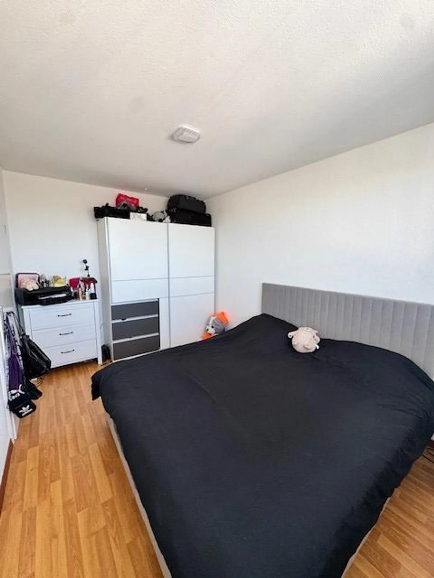 Appartamento 2,5 locali a Liebefeld - Foto 7 di 9