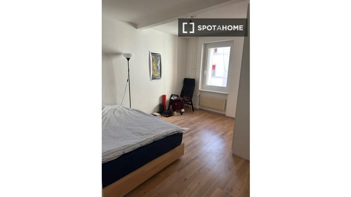 Appartamento Incantevole a Zurigo - Foto 3 di 4