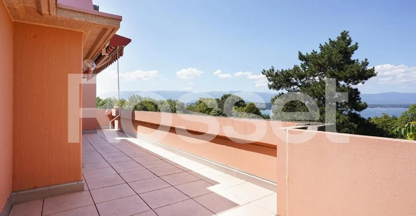 8-room penthouse with peripheral terrace and unobstructed view of the city and lake - Photo 2 of 8