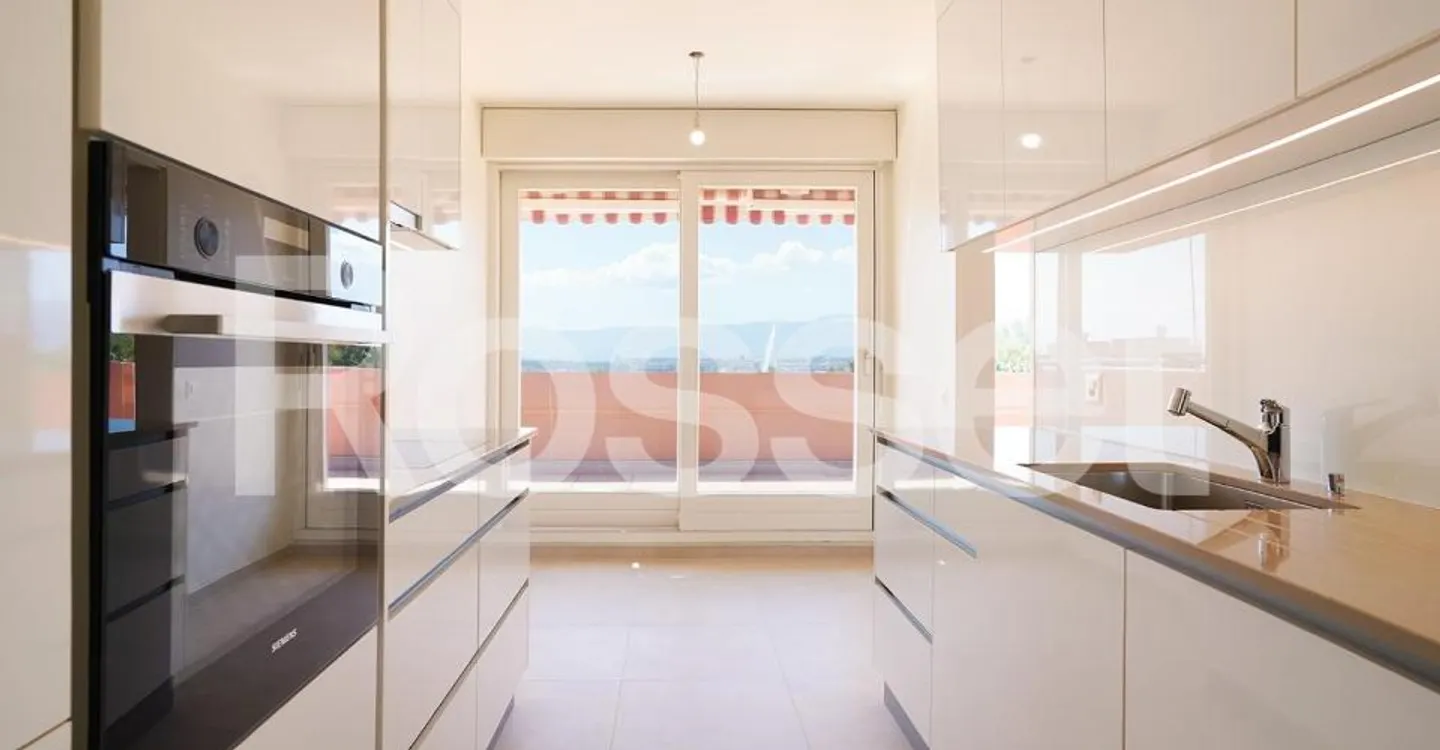 8-room penthouse with peripheral terrace and unobstructed view of the city and lake - Photo 5 of 8