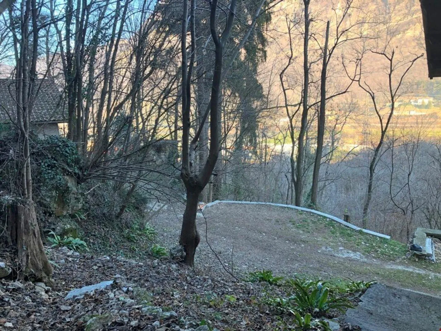 Baugrundstück im Weinkellerbereich - Foto 3 von 5