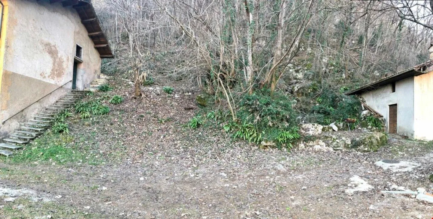 Baugrundstück im Weinkellerbereich - Foto 2 von 5