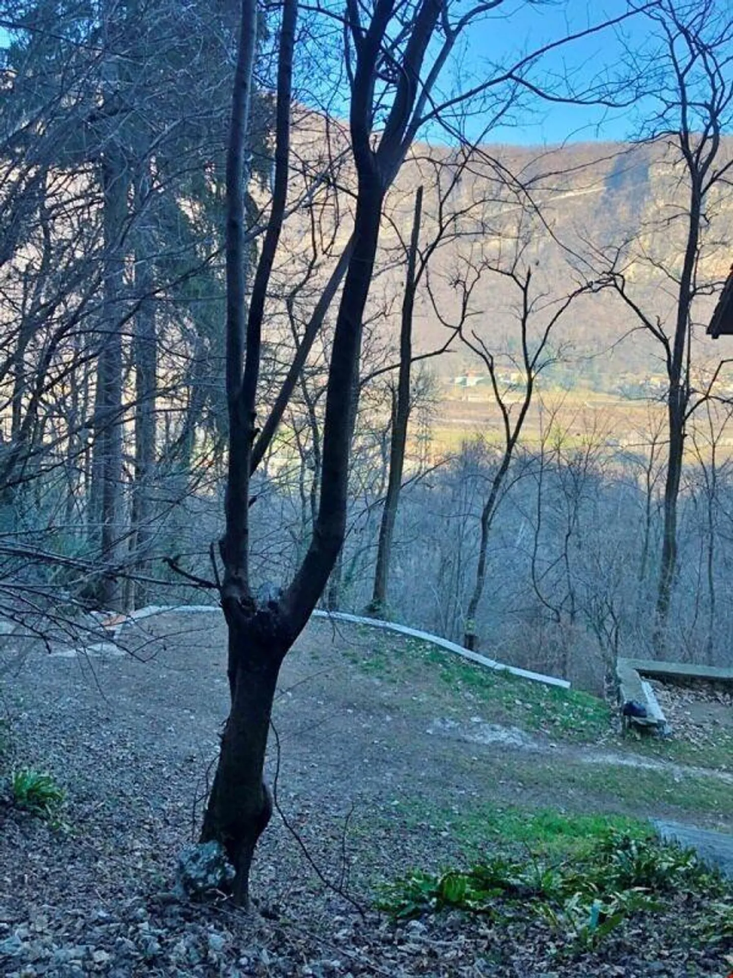 Baugrundstück im Weinkellerbereich - Foto 5 von 5