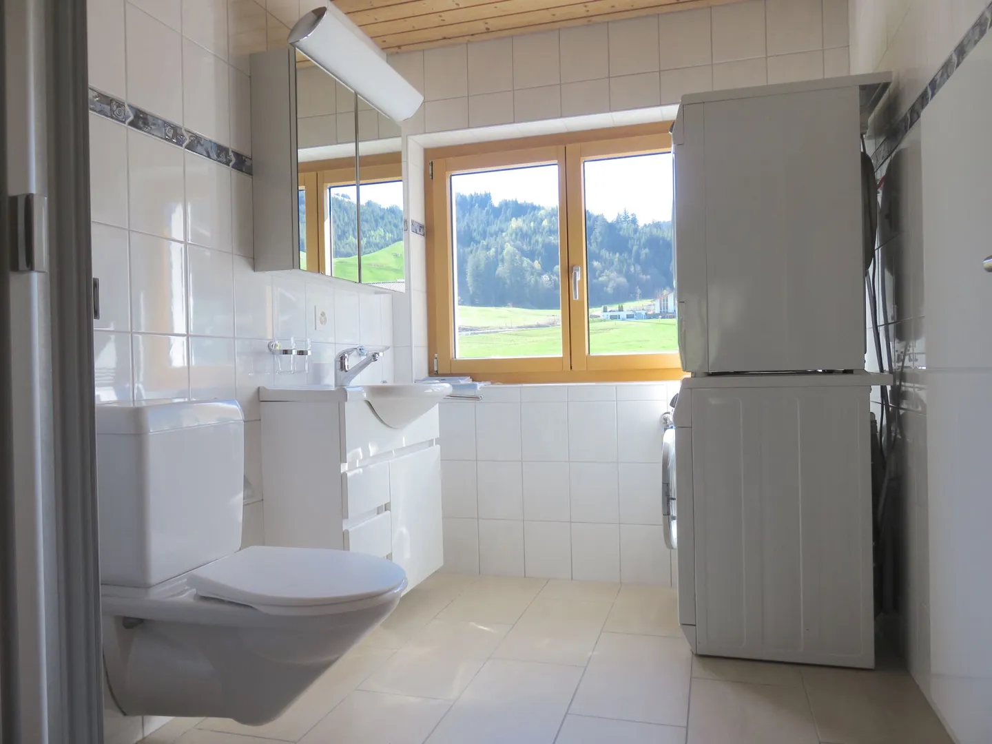 Générosité avec vue sur la montagne - Photo 6 sur 8