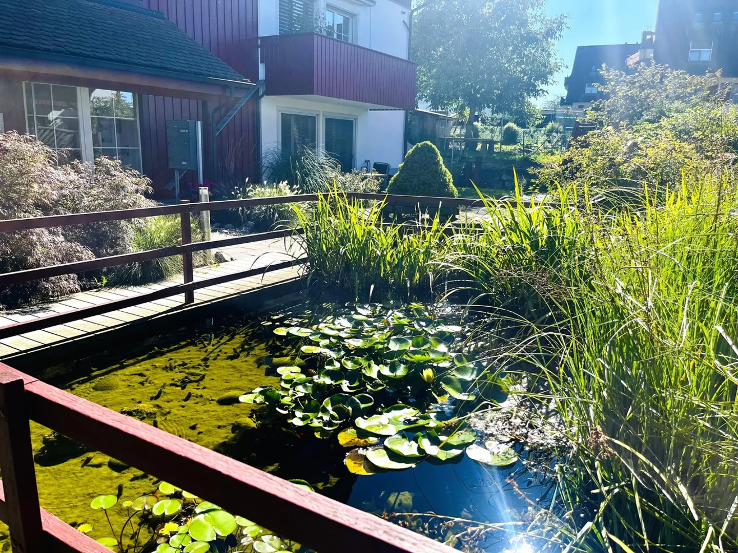 Vivere ai margini della riserva naturale di Neeracherried - Foto 2 di 12