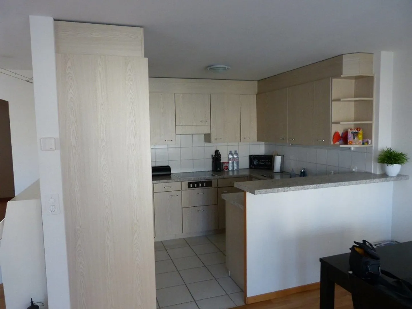 Large and Modern 3.5 Room Apartment with 93m2 in Rickenbach TG - Photo 4 of 11